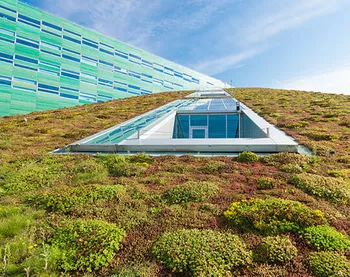 Green roofs